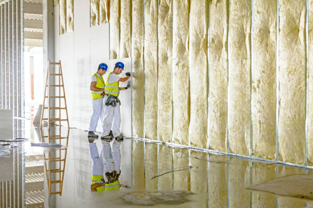 Best Eco-Friendly Insulation in Bunk Foss, WA